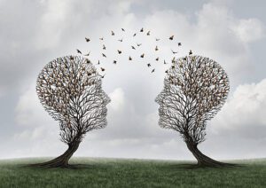 Concetto di comunicazione e comunicazione di un messaggio tra due alberi a forma di testa con uccelli appollaiati e che volano l'un l'altro come metafora del lavoro di squadra e delle relazioni commerciali o personali con elementi illustrativi 3D.